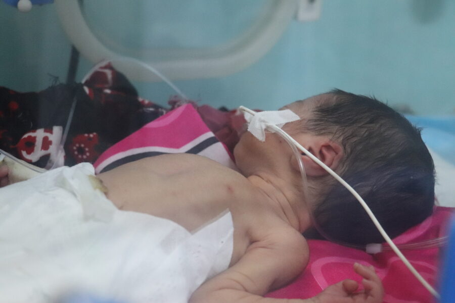 Hanzala, seven days old is under treatment at MSF Neonate ICU in an incubator at Abo Ali Sina Regional Hospital in Mazar-i-Sharif, Afghanistan.