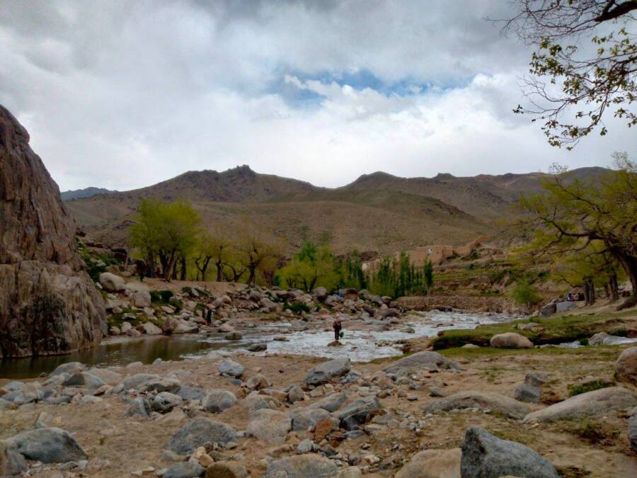 480499127_955397206668041_8445847441720403675_n