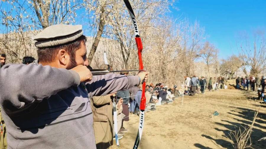 غشي وېشتلو سیالي