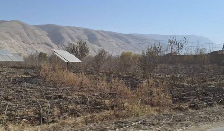 01-3-rfm0x4smv2srgx543cwrox84teuqkh520bizmznxc8