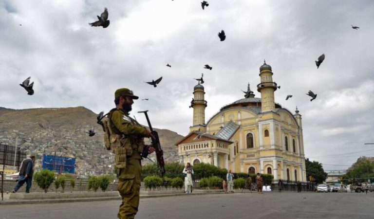 01000000-0a00-0242-b88f-08db77fb6230_w1080_h608