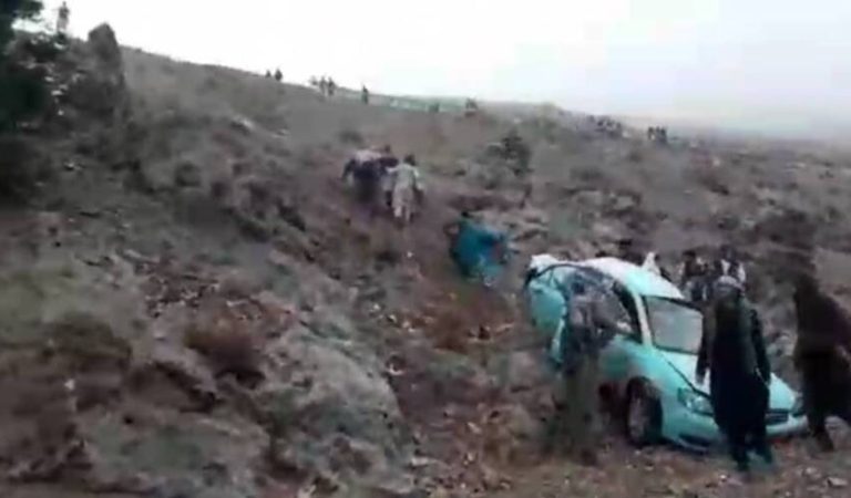 031fe809-7b31-4211-bdb4-50025c752676