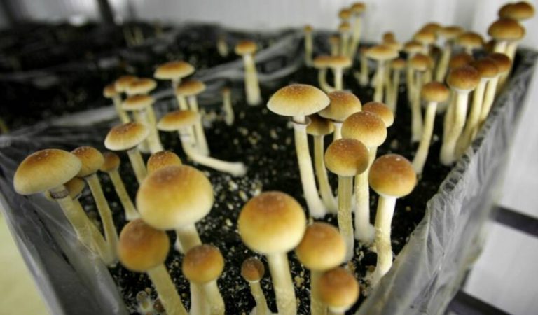 03220000-0aff-0242-e4d2-08dac420583a_cx0_cy3_cw0_w1080_h608