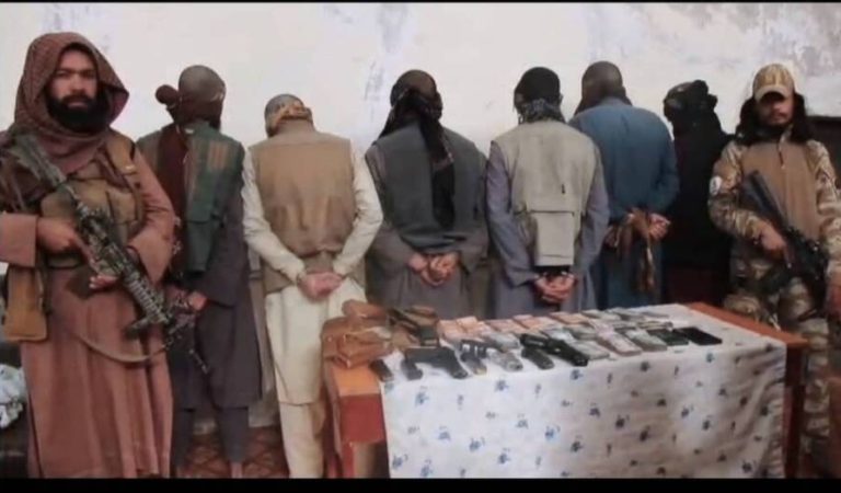 098edc6e-eb53-4700-845a-beb73fed0019