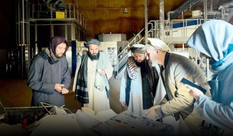 12098003-8eda-4325-a53c-9a7d3413bd60