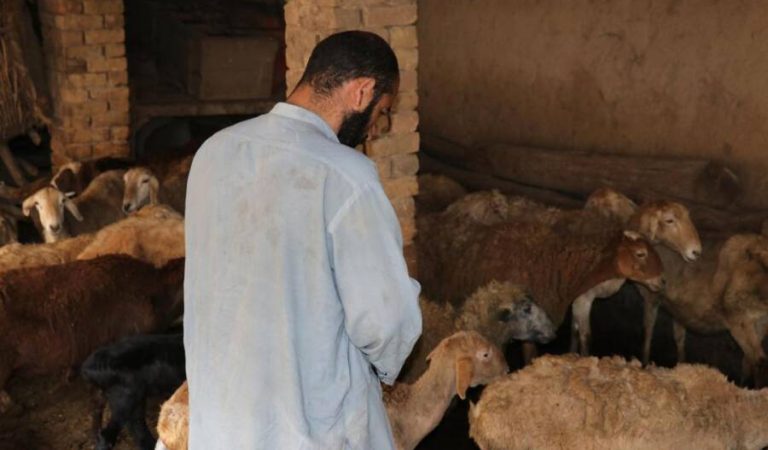 1b7ce234-986d-4bf1-bbc8-725e896ca0bd