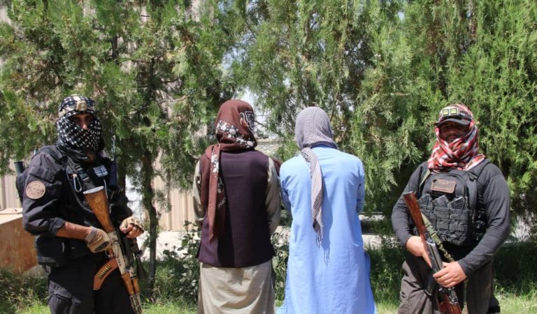 1dc62e22-0af0-4425-8483-9d730eb3fb0b