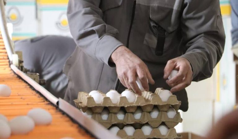 1eff3d62-ed60-4372-96b7-abf87a848489