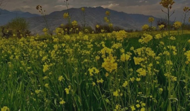 2ebbf6a8-badf-412e-a0a2-35c533edee86