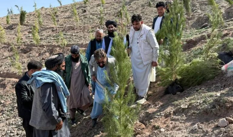 3262384c-95f6-4926-847a-633cb8da6052