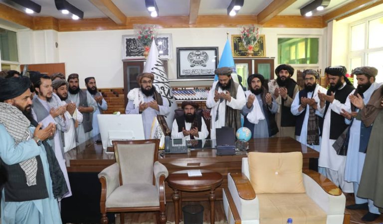 365378d0-2ede-44b1-8d74-7b58cd8983f9