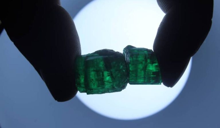 42200cc8-f1d4-47e5-a3d0-bdc4a4581e12