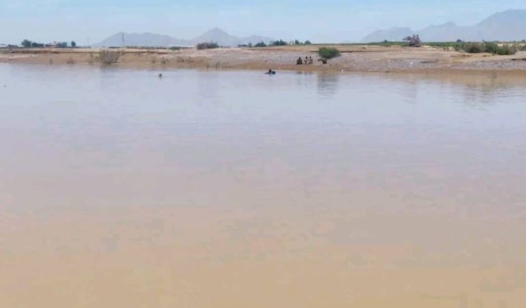 49ee0ce5-8491-4bd8-9d3c-3482d6572104