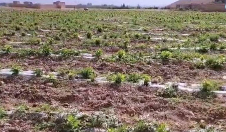 4bb60deb-e7e8-4a7a-b9e8-1152673d0c78