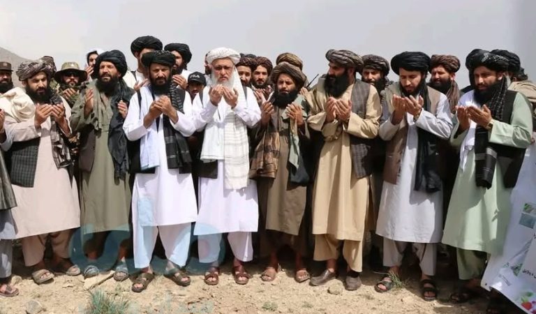 500327148_1265815838878510_1510596651098206474_n