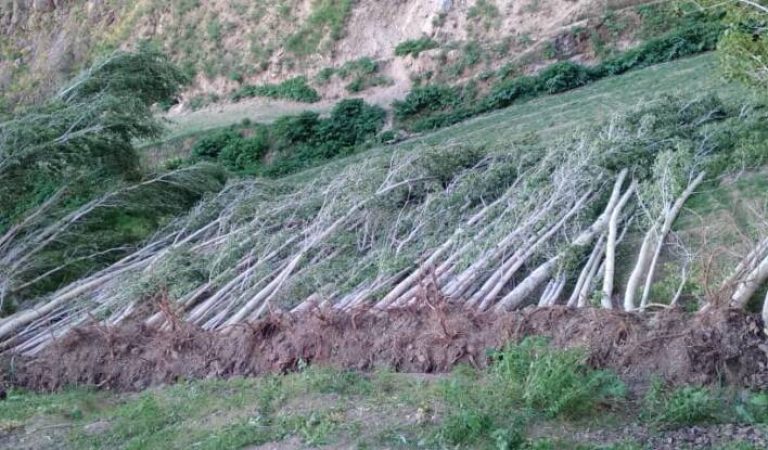 50e082af-3089-4191-8eb2-e8dc19d52f6f