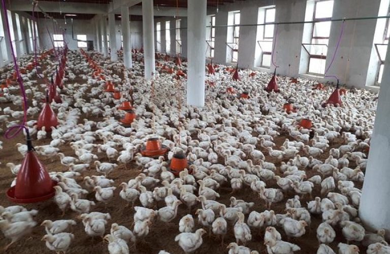 57761920_546048292468850_1718773846602940416_n