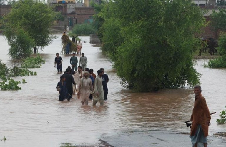 621165_391038_updates