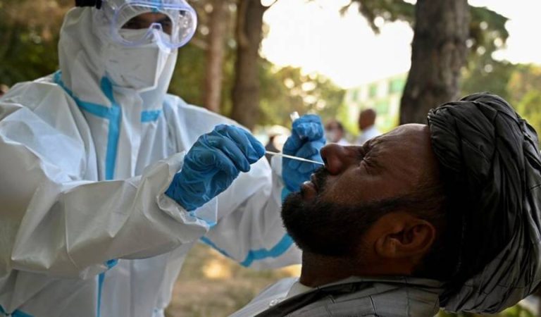 6820808_0_62_961_602_1920x0_80_0_0_54bbc39f4a93a781780070bfb5d91374