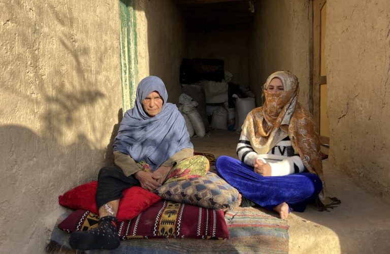 6995288d-cbb3-448b-87ab-de07510b7662