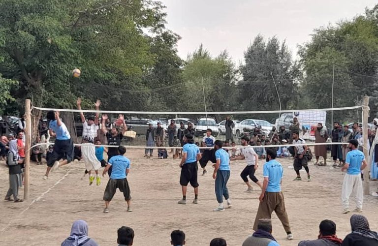 72c341c4-eb57-4c00-bc16-44ad6c0a0976