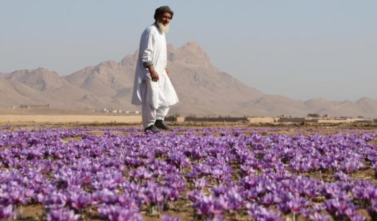 898d12be-1d56-45eb-ab44-b90c06b631ba_cx10_cy17_cw85_w1080_h608