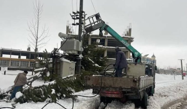 8aab8d9a-a17a-4dda-98cd-bddd9f9b6df4