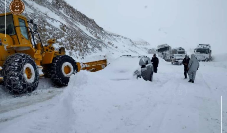 8c8eb2b2-2778-462a-9e3d-5a60f0b2fb89