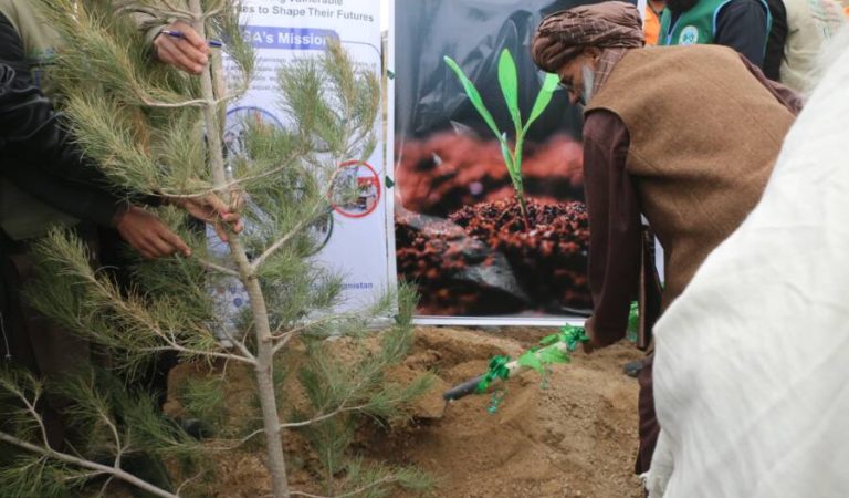 8e308edd-100e-4b8f-989d-9811e5a228fa