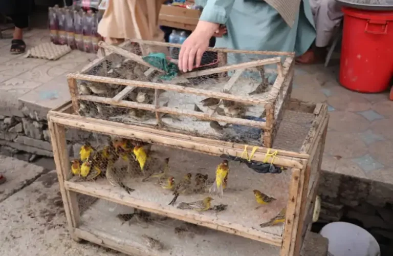 9de7752d-311c-48de-96f3-2299e13bdd72