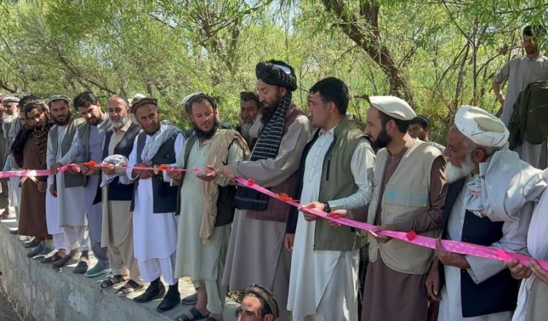 9e4c2a14-3fc0-4e0c-bdb8-a4b33fea6658