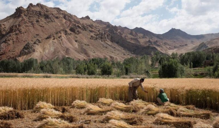 AFGHAN_FARMS_WOMEN_2-scaled-e1665604175534