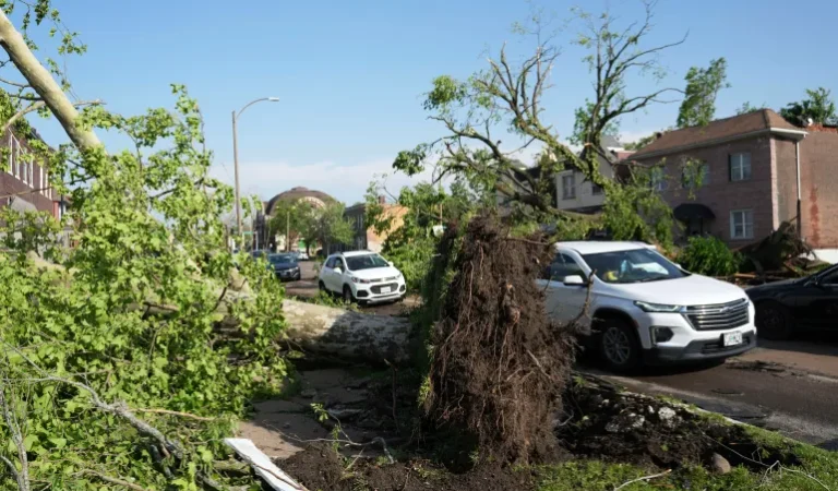 AP25136847266286-1747487065