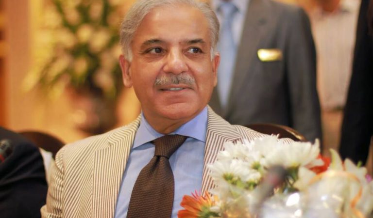 CM_Shehbaz_Sharif_-_Potrait_(32112066302)