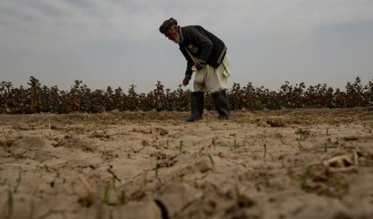 Drought-in-Afghanistan-revpsj71ad4gractaeyq0kx7u2nl7n02hthjdl1760