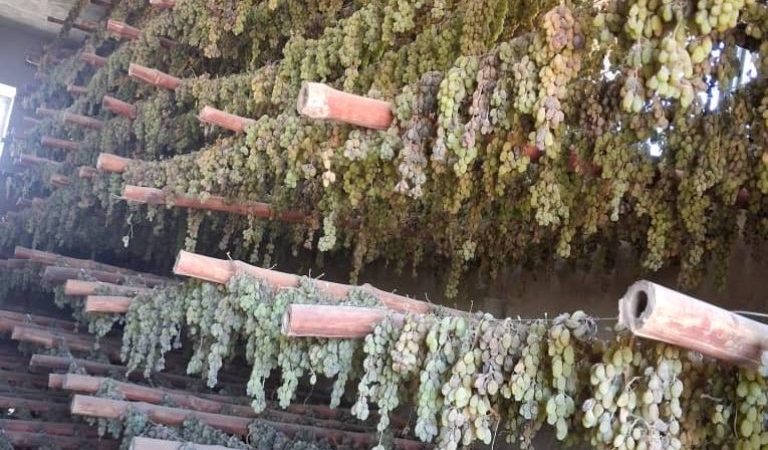 G4pB6u5WQAAEjIB-re212i9i2d2zoo0wkt0zyd8euo8c7dsat2ko16us20