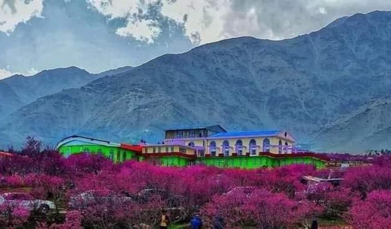 IMG-20250403-WA0081(1)