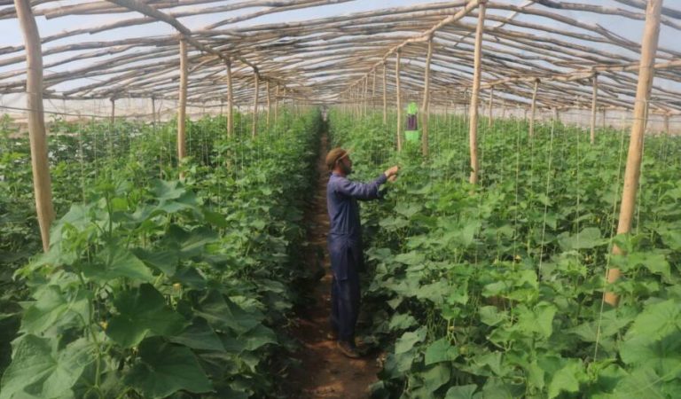 IMG_20240817_153808_733