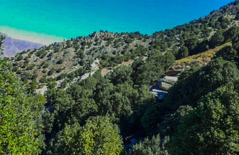 Medicinal-plants-in-the-mountains-of-Parwan-a-green-treasure-on-the-verge-of-extinction-1-r64emmibjh5pm5iz0pas3xyh3ult0yybg5vw6qgoso