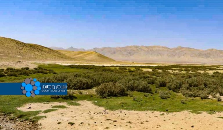 Nawur-Ghazni-1-rdmhbtqdasbhum0ieka6rbl58odiosz70gi9xcgyo8
