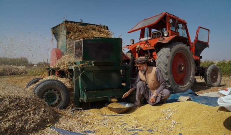 Soybean-cultivation-in-Balkh-riu6q2d9uzgnbq87f8f8dflxcq1jxe35cjypqd6xe0