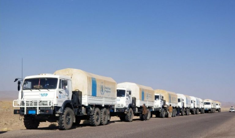 WFP food convoy in Herat (002)