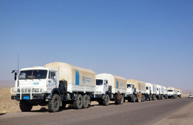 WFP food convoy in Herat (002)
