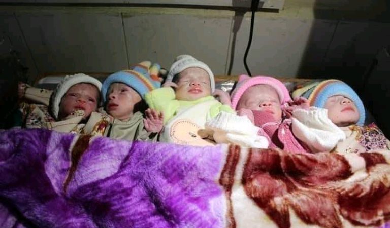 WhatsApp-Image-2022-04-22-at-11.46.07-AM