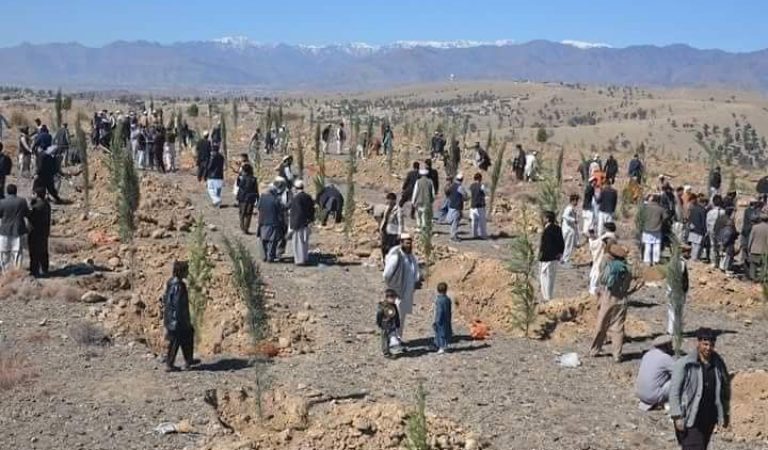 WhatsApp-Image-2024-03-04-at-9.59.17-PM