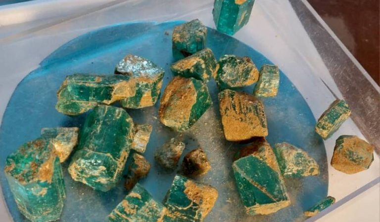 WhatsApp Image 2024-11-05 at 13.44.11_c45dffa2