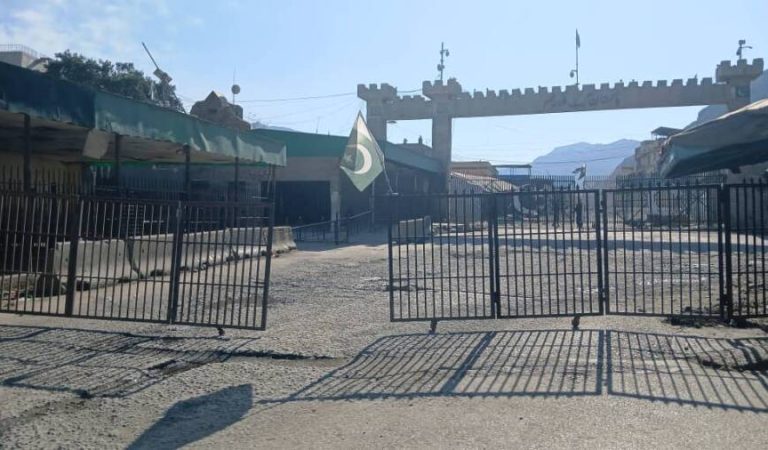 WhatsApp Image 2025-02-24 at 3.40.04 PM