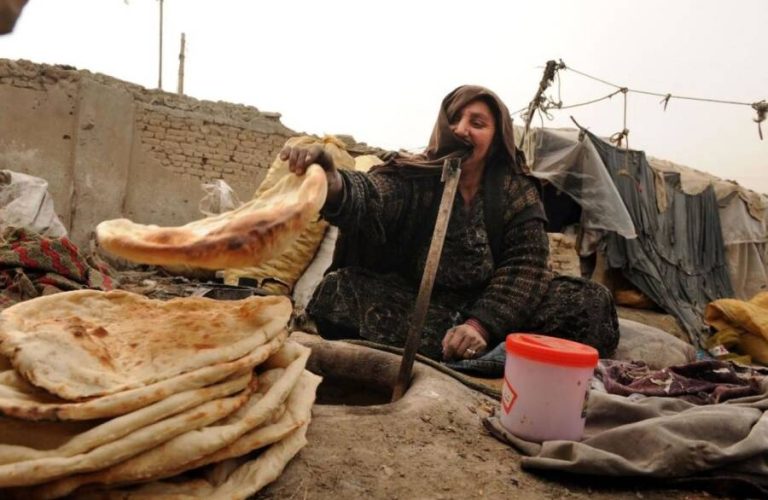 WhatsApp Image 2025-04-05 at 2.56.49 PM