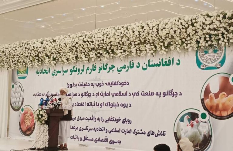 WhatsApp Image 2025-05-04 at 2.44.02 PM