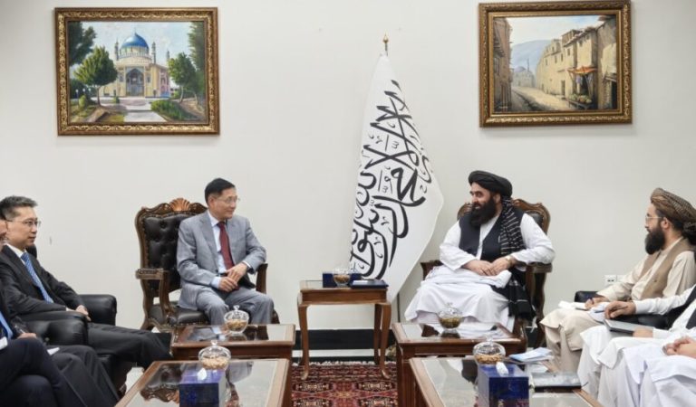 WhatsApp Image 2025-07-25 at 9.09.11 AM